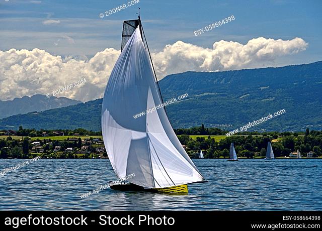 Segelboot mit gesetztem Mastkopf-Spinnaker auf einem See / Sailing boat flying masthead spinnaker on a lake