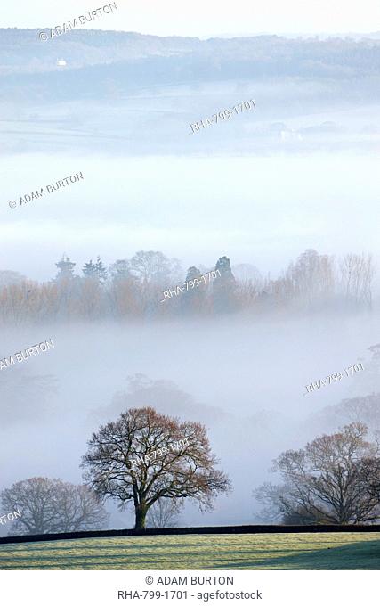 Mist covered countryside in the Exe Valley just north of Exeter, Devon, England, United Kingdom, Europe