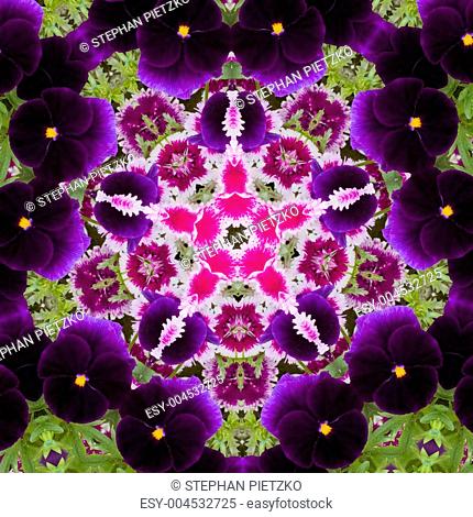 Flower kaleidoscope resembling a mandala