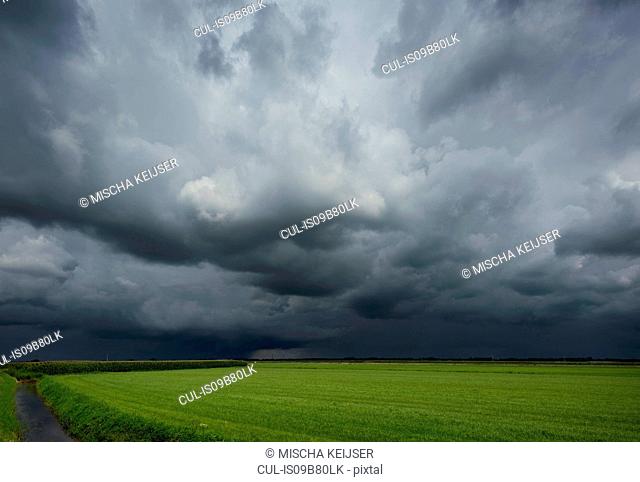 A thunderstorm over corn and grass fields, Oosterhout, North Brabant, Netherlands