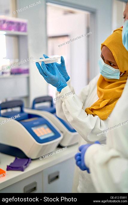 Female scientist in hijab and gloves examining specimen tray