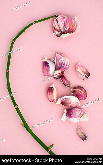 Composition of young garlic and orchid branches on a soft pink background