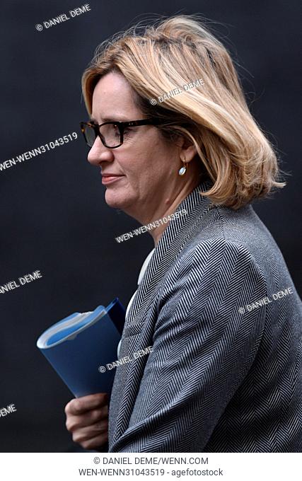 Ministers arrive for a Cabinet Meeting at 10 Downing Street. Featuring: Amber Rudd Where: London, United Kingdom When: 21 Feb 2017 Credit: Daniel Deme/WENN