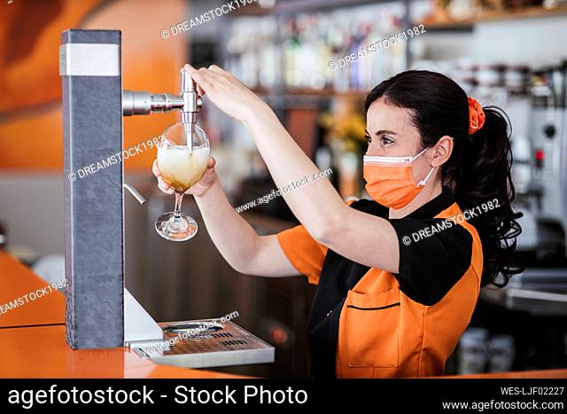 Waitress filling beer glass from tap at bar during pandemic
