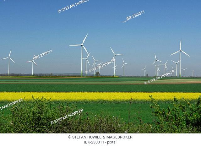 Wind farm, Weiden, Burgenland, Austria