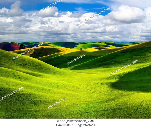 agriculture and rolling hills in Washington State
