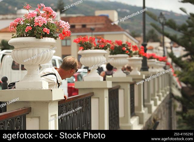 Tourists walking in front of the traditional houses near the flowerpots at the town center, La Orotava, Tenerife, Canary Islands, Spain, Europe