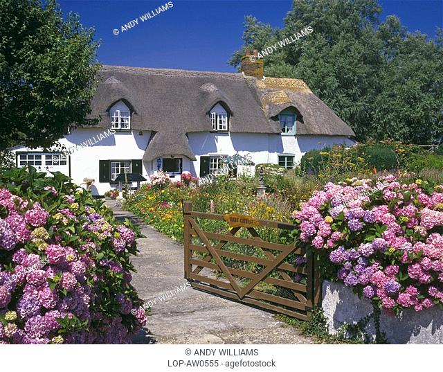 England, Dorset, Dorchester, Thatched cottage and garden