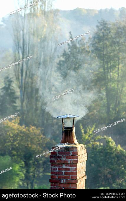 Smoke raising from a chimney in winter forest