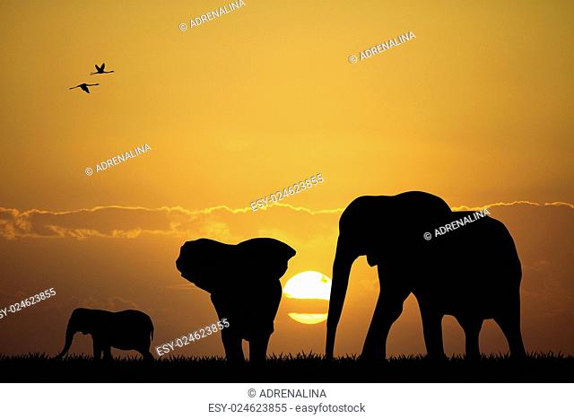 illustration of elephants at sunset