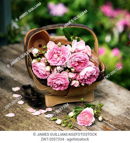 Garden trug basket filled with Roses on rustic wooden table