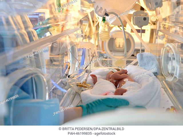 A premature newborn infant lies in an incubator at the neonatal intensive care unit of the university hospital Charite in Berlin, Germany, 05 February 2014