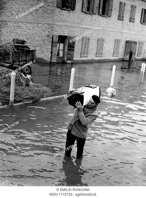 Man carrying an appliance on his shoulders during the Polesine flood. Man carrying an appliance on his shoulders. The Po river overflowed because of the heavy...