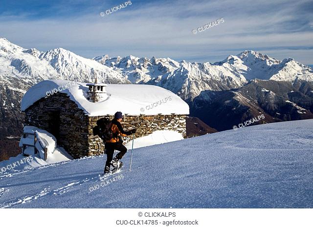 Snowshoe hiker walking with Mount Disgrazia in background, Olano, Gerola Valley, Valtellina, Rhaetian Alps, Lombardy, Italy, Europe
