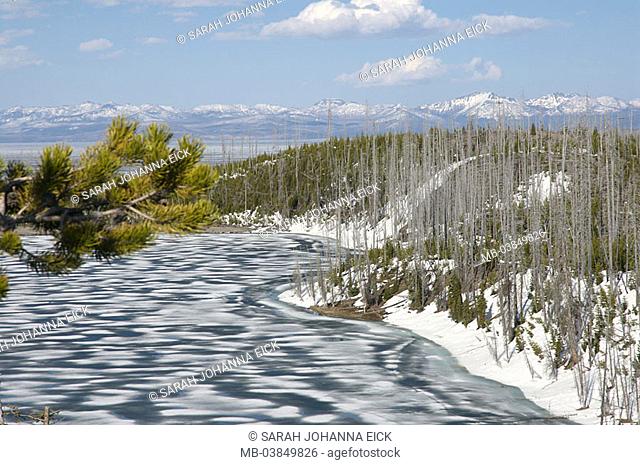 USA, Wyoming, Yellowstone national-park, highland-shaft, sea, frozen over, detail, winters, North America, landscape, waters, froze, ice, icecap, ice-surface