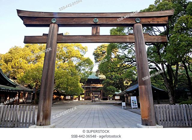 Giant Torri Gate, Meiji-jingu Shrine, Shibuya Ward, Tokyo, Japan