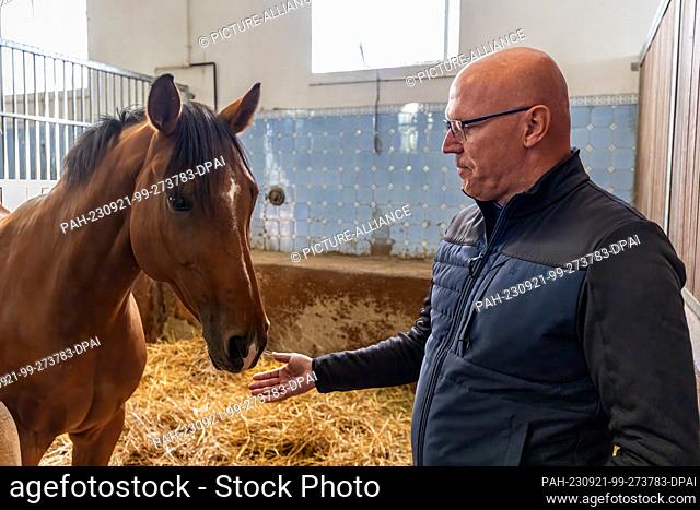 PRODUCTION - 04 September 2023, Hesse, Dillenburg: Andreas Rogocz, deputy head of the Dillenburg State Stud of the Hesse State Agricultural Office (LLH) and...