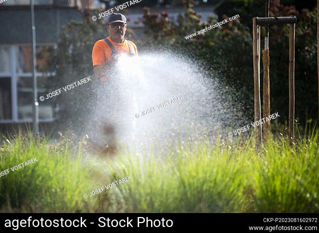 Gardener is watering greenery during hot weather in city Pardubice, Czech Republic, August 16, 2023. (CTK Photo/Josef Vostarek)