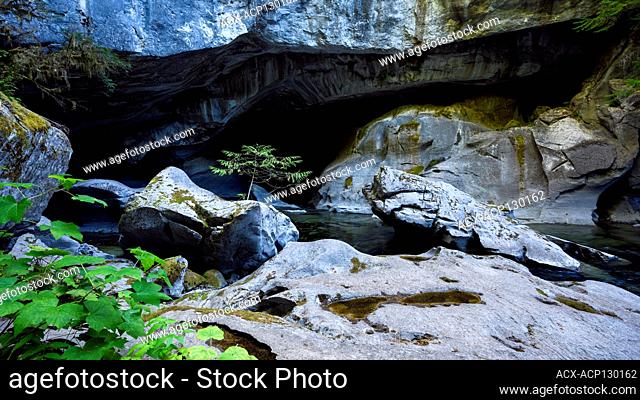 Little Huson Caves Regional Park, Vancouver Island, BC, Canada