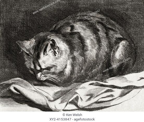 The Little Cat, after the etching by Cornelius Visscher. From Histoire de La Gravure, published 1880