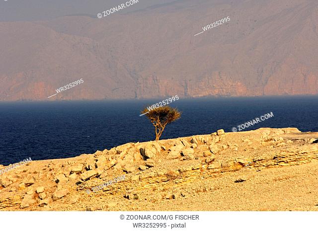 Karge Küstenlandschaft am Persischen Golf auf der Halbinsel Musandam, Sultanat Oman / Barren coastal landscape along the Persian Gulf on the Musandam Peninsula