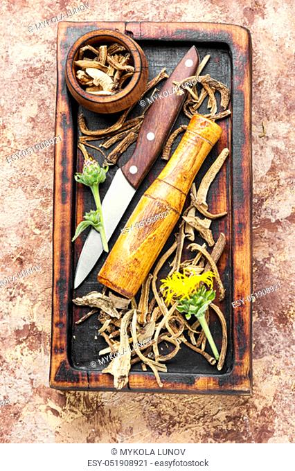 Roots and rhizomes of elecampane.Healing drink from the roots and rhizomes of inula