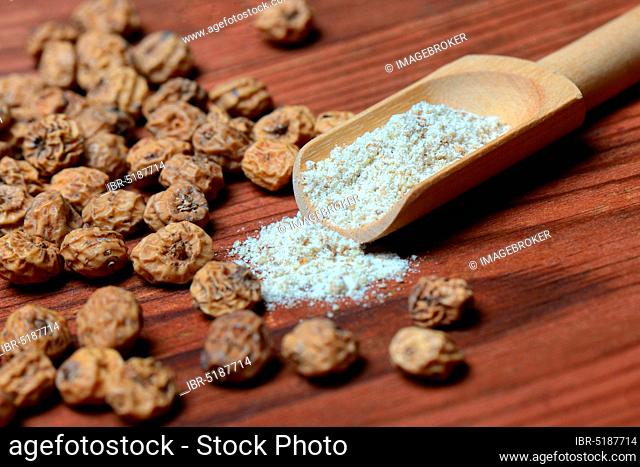 Tigernuts and tigernut flour in shovel, Cyperus esculentus