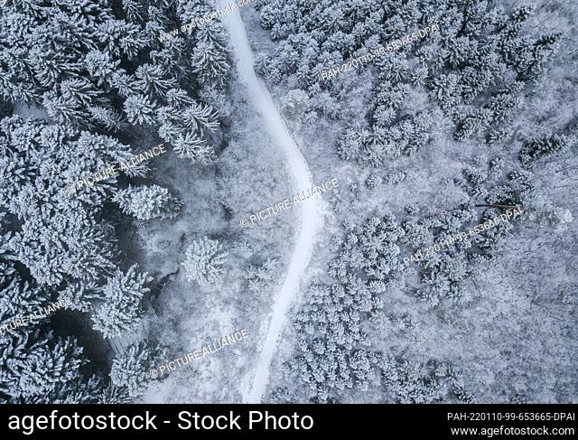 10 January 2022, Baden-Wuerttemberg, Rottweil: A forest path stretches through a patch of woods surrounded by snow-covered conifers near Rottweil