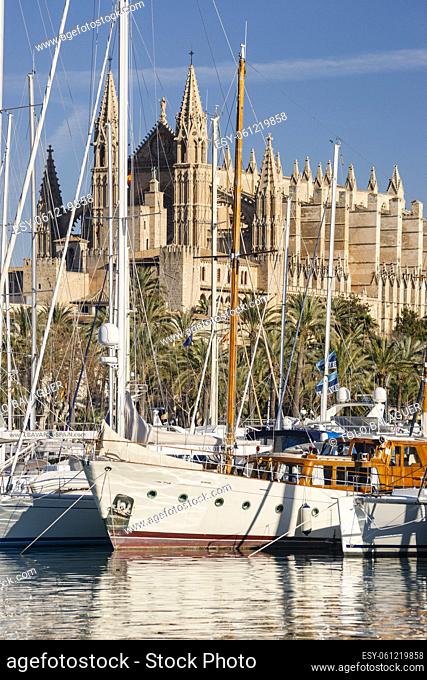 Catedral de Palma desde Moll de la Riba, Palma, mallorca, islas baleares, españa, europa