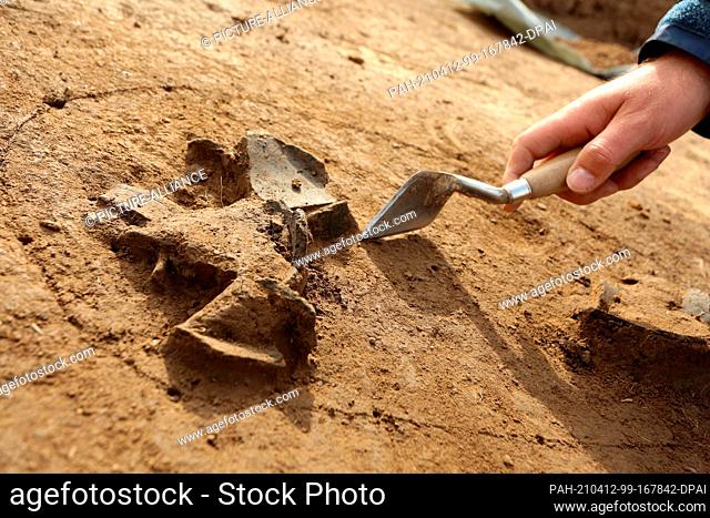 09 April 2021, Saxony-Anhalt, Derenburg: Ceramic shards are carefully uncovered during archaeological investigations at a construction site between Derenburg...