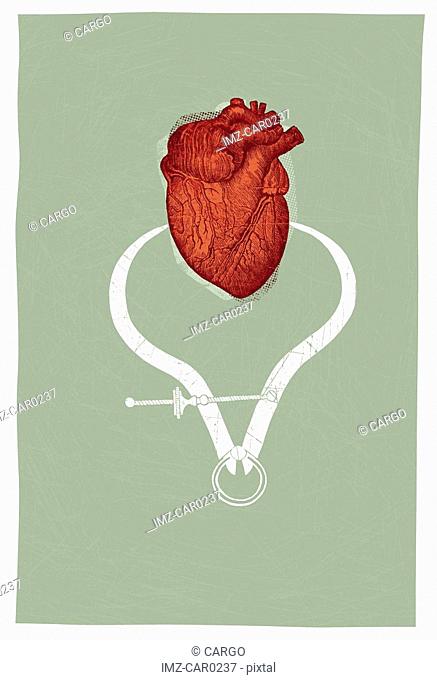 A heart being measured by callipers, on a green background