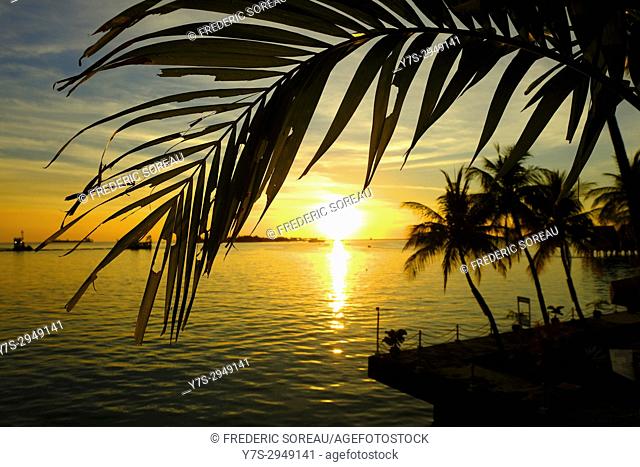 Sunset at Losari beach in Makassar, Sulawesi, Indonesia, South East Asia