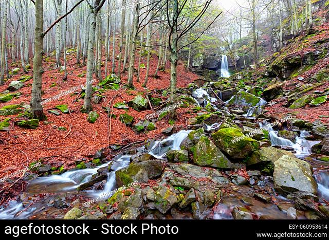 Landscape in the spring beech forest with a waterfall on a foggy morning