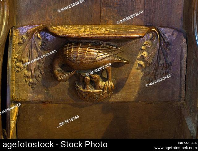 Misericord depicting 'Pelican in their piety', in medieval Europe pelicans were often depicted as being attentive in times of need when giving blood to young...