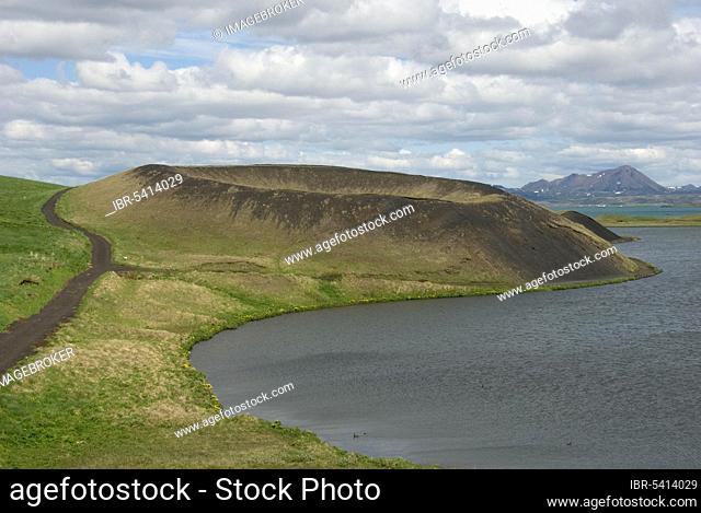 Pseudo-crater Skutustadir, Kalfaströnd, Myvatn, Midge Lake, Iceland, Europe