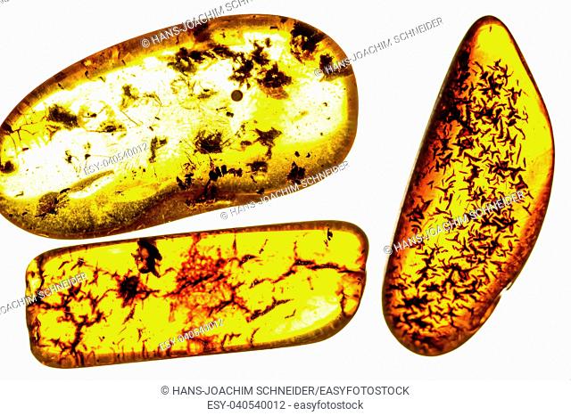 amber with inclusions