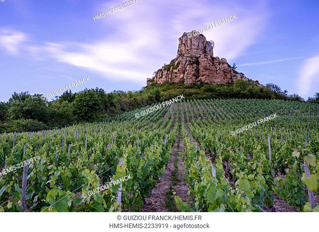 France, Saone et Loire, Solutre Pouilly, Solutre Rock, Pouilly Fuisse vineyard at the foot of the rock