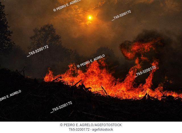 Forest fire in Constante, Lugo province, Galicia, Spain. Date: 15-10-2017