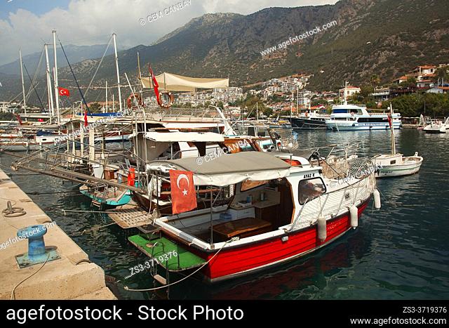 Daily trip boats at the port, Kas, Antalya Province, Mediterranean Coast, Ancient Lycia Region, Turkish Riviera, Turkey, Europe