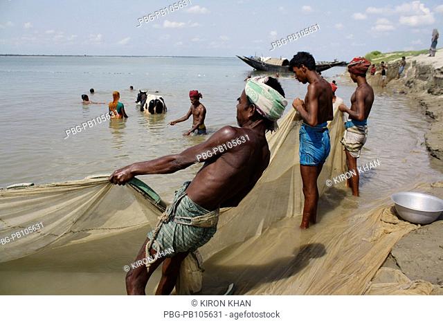 Fishermen catching fishes at the Padma river Pabna, Bangladesh June 2010