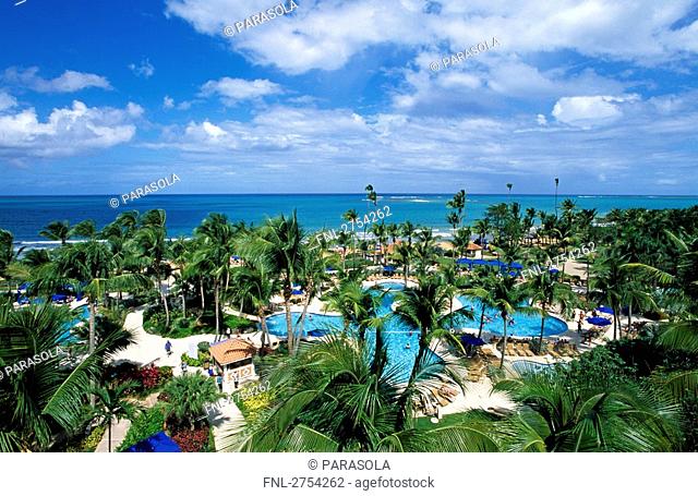 High angle view of swimming pool in resort, Wyndham Rio Mar Beach Resort, Rio Grande, Puerto Rico