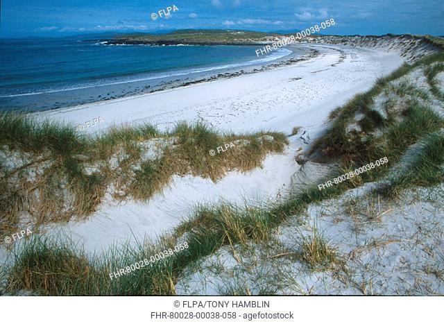 Coastal dunes and marram grass, Traigh Ear, Machair Lethanh, North Uist, Outer Hebrides, Scotland