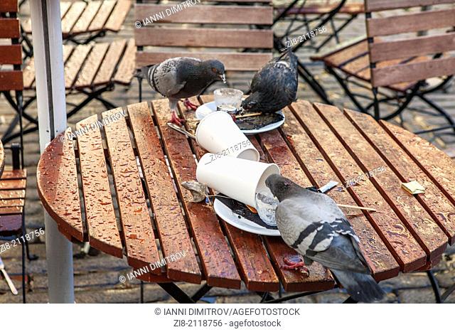 Pigeons scavenge food from coffee shop table in Central London, England