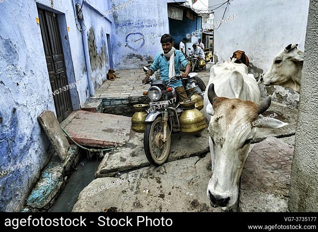 Bundi, India - August 2020: Street milk vendors in the old town of Bundi on August 10, 2020 in Bundi, Rajasthan. India