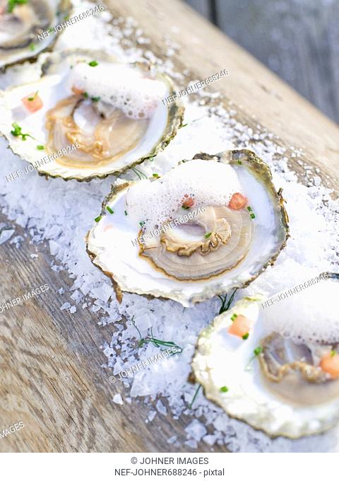 Oysters on salt, Sweden