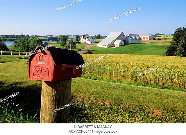 Mailbox and farm, Rusticoville, Prince Edward Island, Canada
