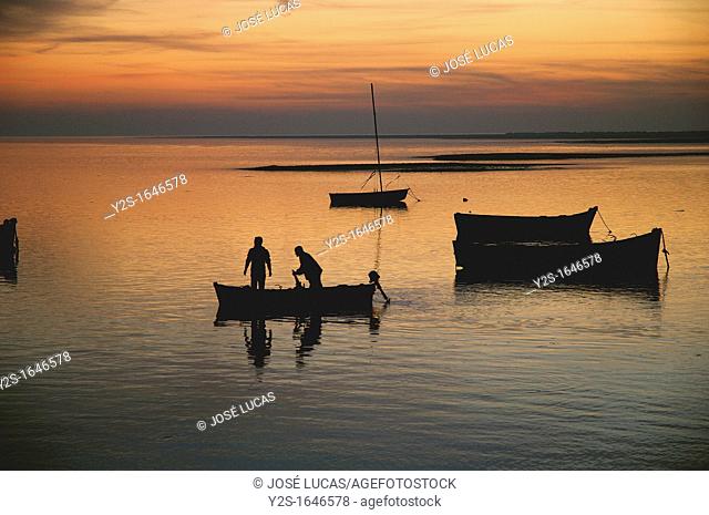 Fishermen in boat, Cadiz bay Natural Park, Puerto Real, Cadiz-province, Spain