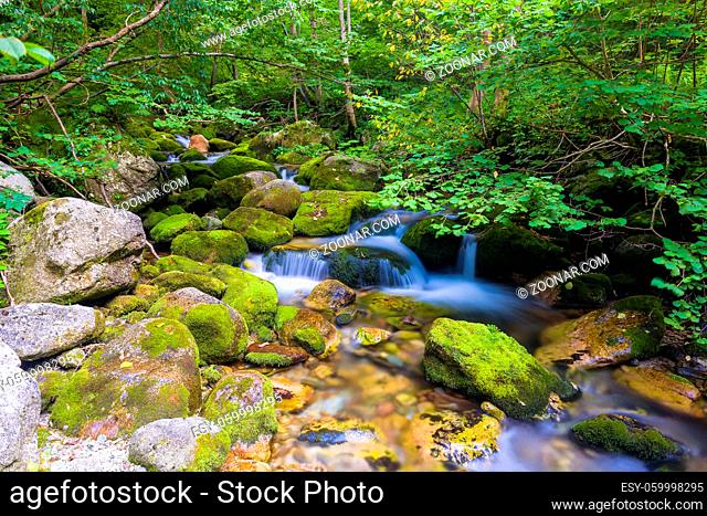 Creek and little waterfall in the Ligurian Alps, during summer season