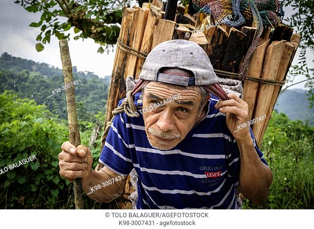 hombre transportando leña, Lancetillo - La Parroquia, Franja Transversal del Norte , departamento de Quiché, Guatemala
