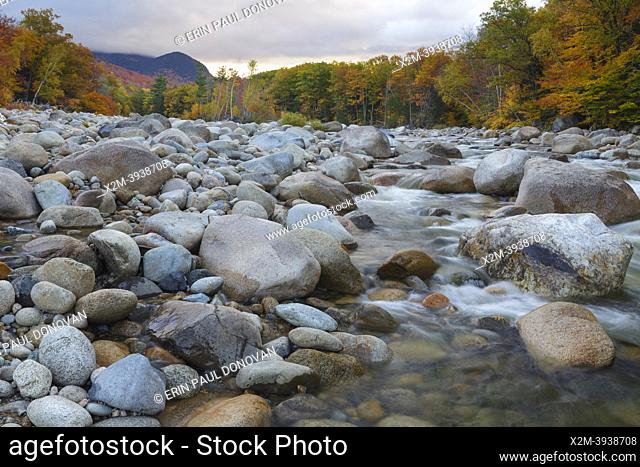 Autumn foliage along the East Branch of the Pemigewasset River in Lincoln, New Hampshire during the autumn months. This location is just above the site of the...